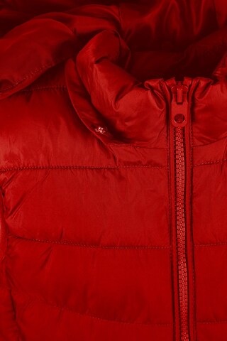 MINOTI Bodywarmer in Rood