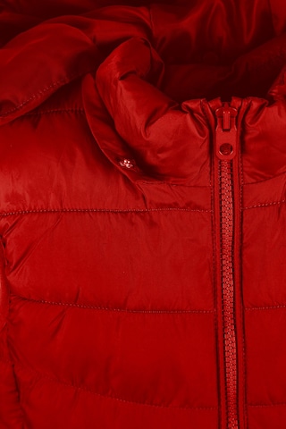 MINOTI Bodywarmer in Rood