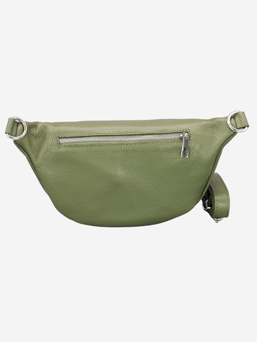 Brise Crossbody Bag 'Linda' in Green