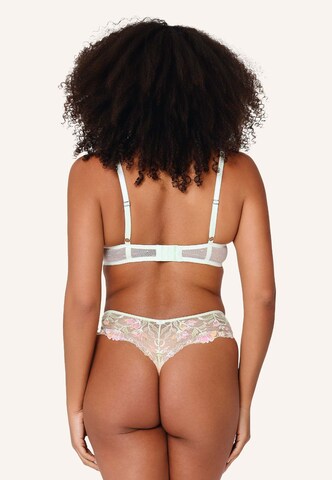 LingaDore - Clásico Sujetador en verde