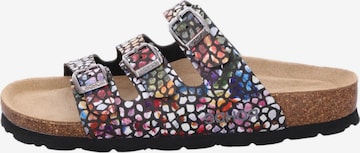 ROHDE Pantolette 'Alba' in Mischfarben: Vorderseite