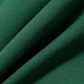 LACOSTE Sweatjacke in Grün