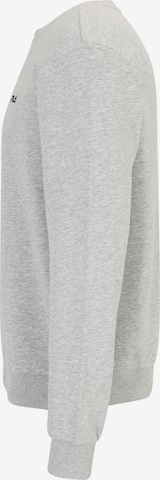 Sweat-shirt 'BRUSTEM' FILA en gris