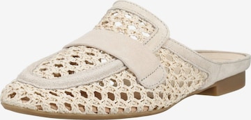 Paul Green Mule in Beige: front