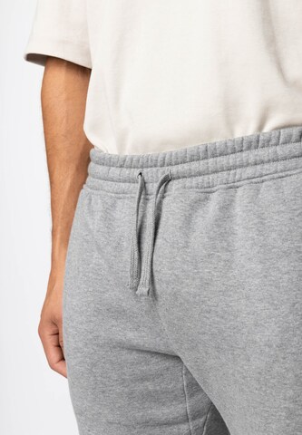 Effilé Pantalon SNOCKS en gris