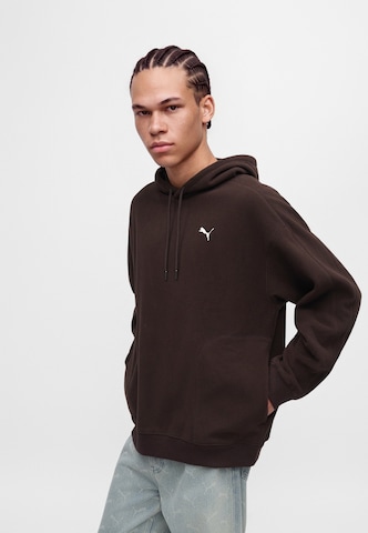 Sweat-shirt 'Essentials Elevated' PUMA en marron : devant