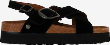 Sandales 'Shylo-Ledersandalen' terre de marins en noir : devant