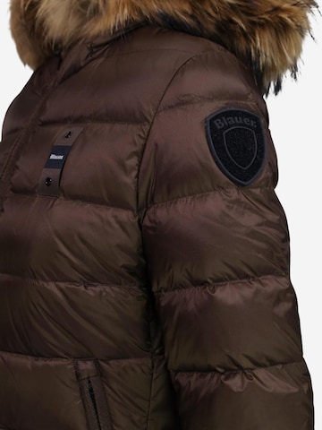 Veste d’hiver 'ARCADIA 26WBLDC03038' Blauer. en marron