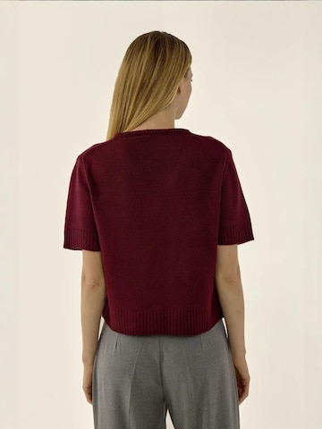 Pull-over 'Pullover' Hiccup en rouge