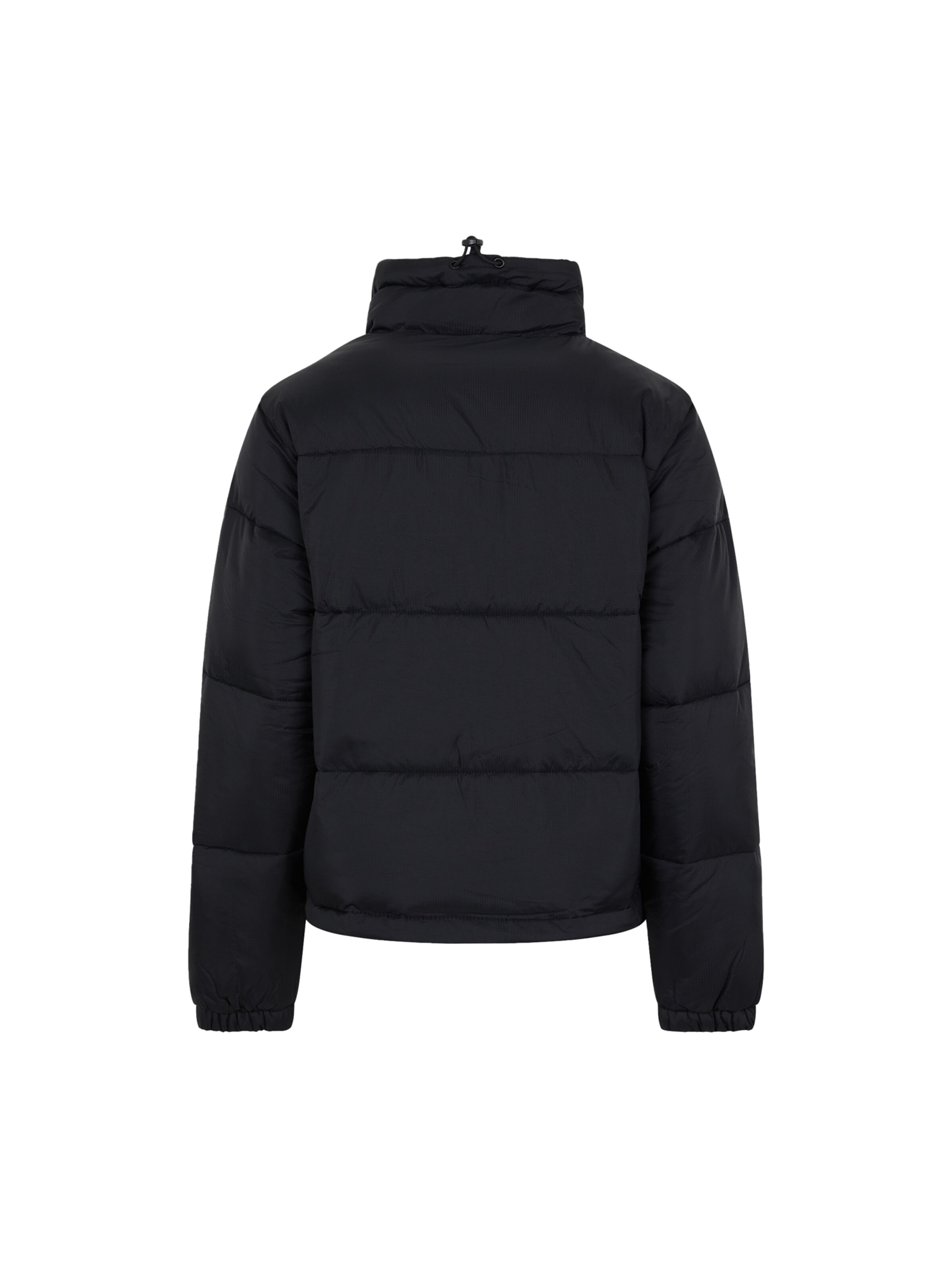 juoda DICKIES Žieminė striukė 'Alatna'