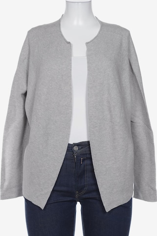DRYKORN Sweater & Cardigan in XL in Grey: front