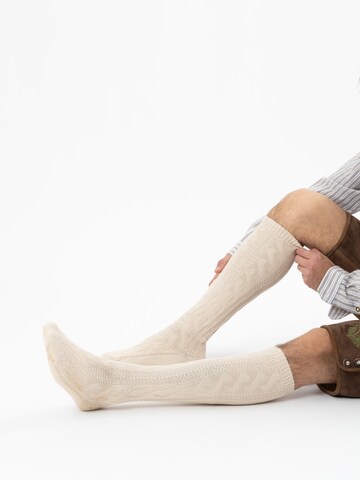 HerzSticht Trachtensocken 'Bergdistel' in Beige