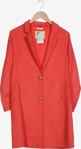 Beaumont Jacket & Coat in S in Orange: front