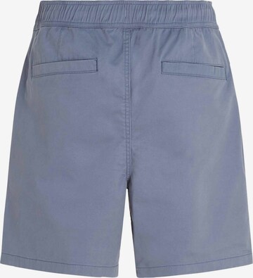 O'NEILL Loosefit Shorts 'Og Porter' in Blau