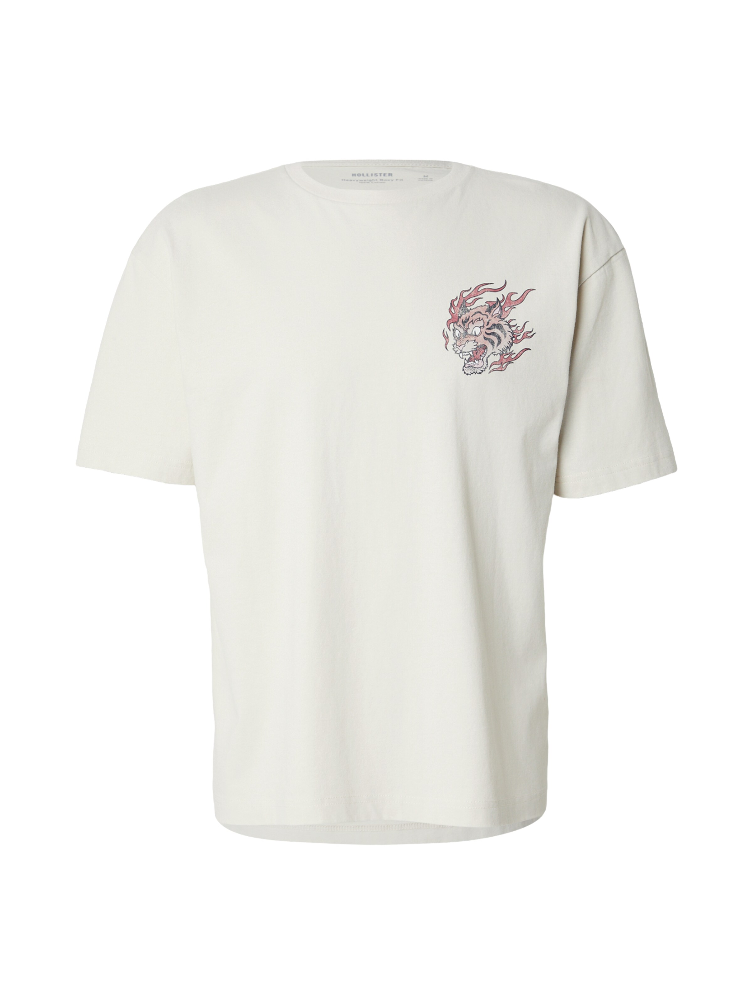 HOLLISTER T-Shirt in Grau: Vorderseite