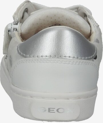 GEOX Sneakers in Wit