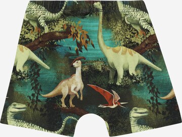 Walkiddy Boxershorts (GOTS) in Grün