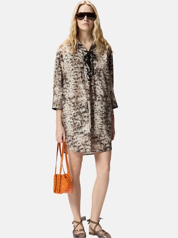 Robe 'PINKO AGRA ABITO POPELINE STAMPA SNAKE ABITO' PINKO en beige