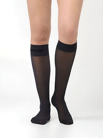 OrGasm Knee socks in Black