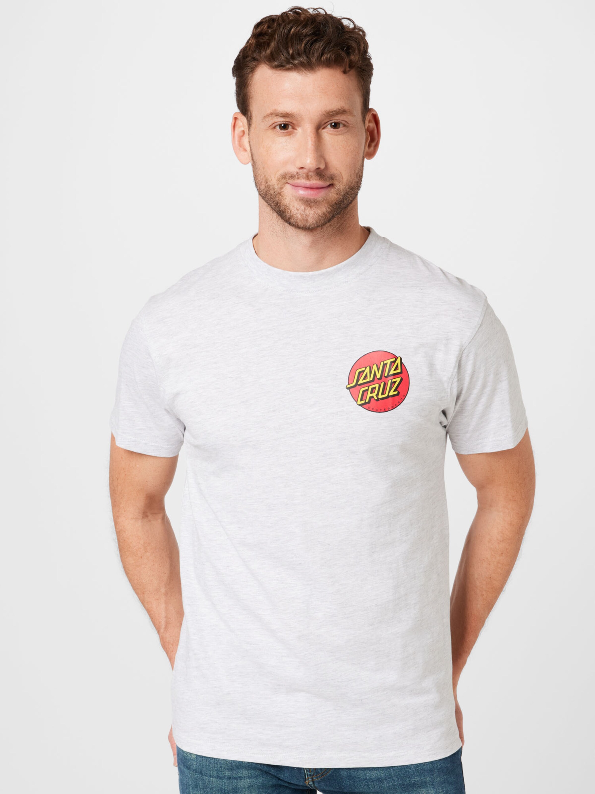 Männer Shirts Santa Cruz T-Shirt in Graumeliert - NJ22185