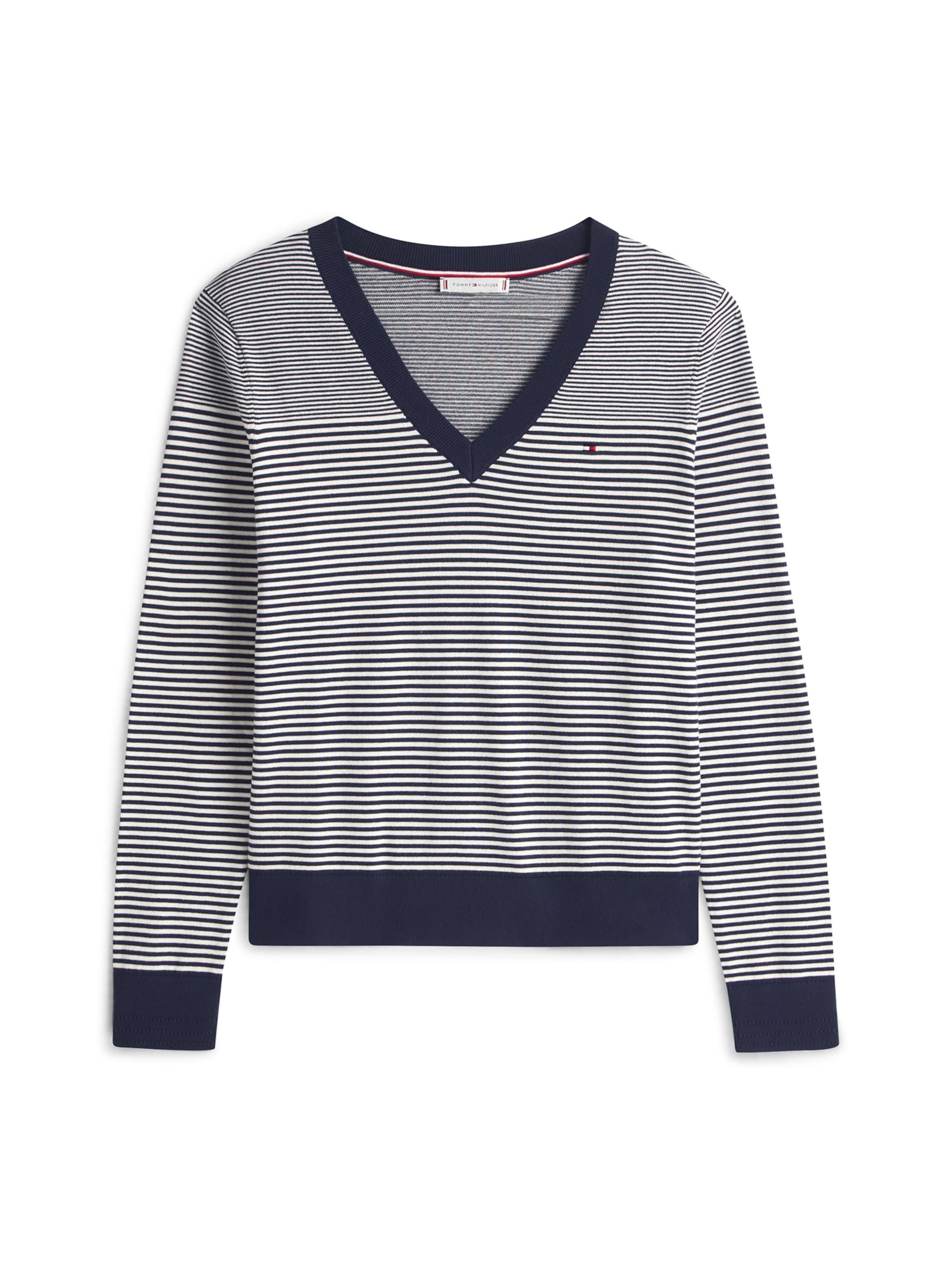 TOMMY HILFIGER Sweater in Blue: front