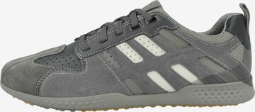 GEOX Sneaker in Grau