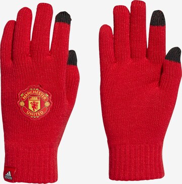 ADIDAS PERFORMANCE Athletic Gloves 'Manchester United' in Red: front