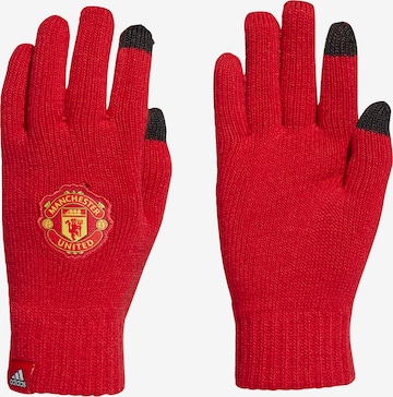 Gants de sport 'Manchester United' ADIDAS PERFORMANCE en rouge : devant