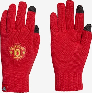 ADIDAS PERFORMANCE Sporthandschuhe 'Manchester United' in Rot: predná strana