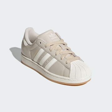 Baskets basses 'Superstar II' ADIDAS ORIGINALS en beige