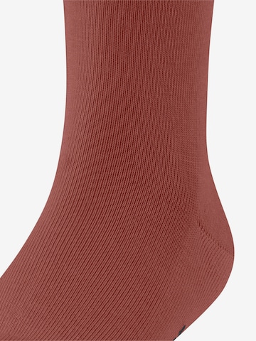 FALKE Socks 'Family' in Red: front