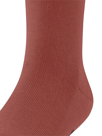 FALKE Socks 'Family' in Red: front