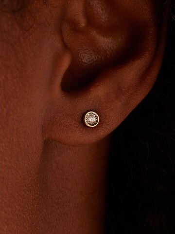 Lucardi Earrings 'Schick' in Gold: front