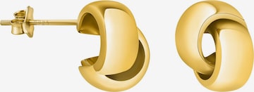 Sofia Milani Earrings 'Doubled' in Gold: front