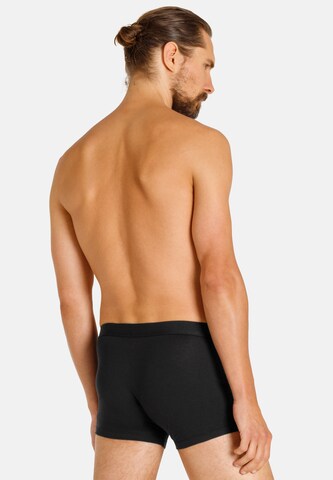 camano Boxershorts in Schwarz