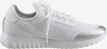 Calvin Klein Jeans - Zapatillas deportivas bajas en blanco