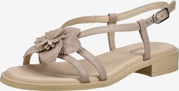 Sandales à lanières Nero Giardini en beige : devant