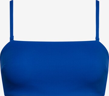 Calvin Klein Swimwear Bikini Top 'Core Archive' in Blue: front