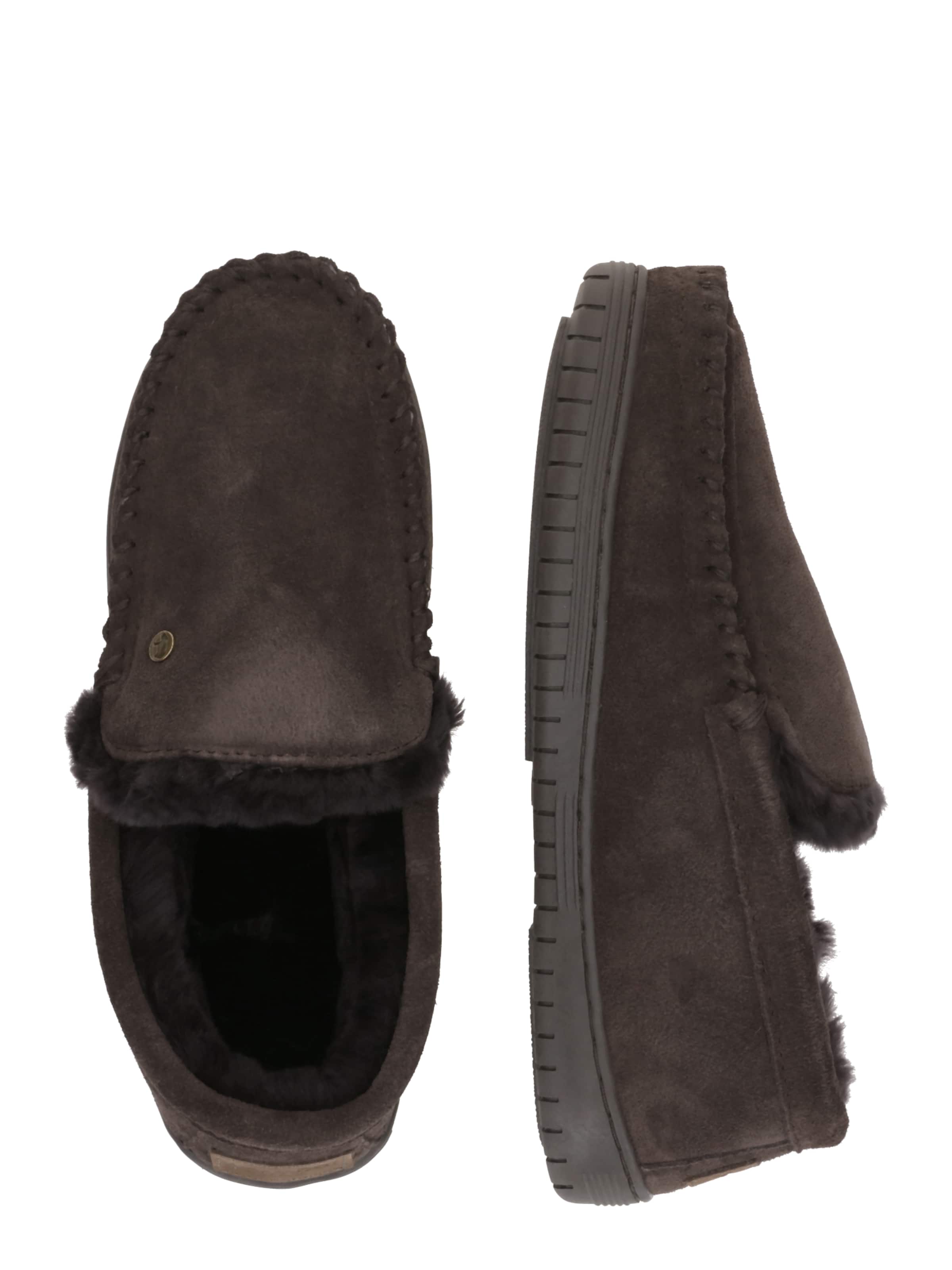 Warmbat Toasuss 'Grizzly', värv pruun