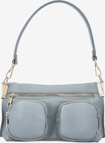 zils faina Pleca soma: no priekšpuses