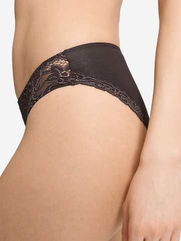 Hanro Panty ' Moments ' in Brown