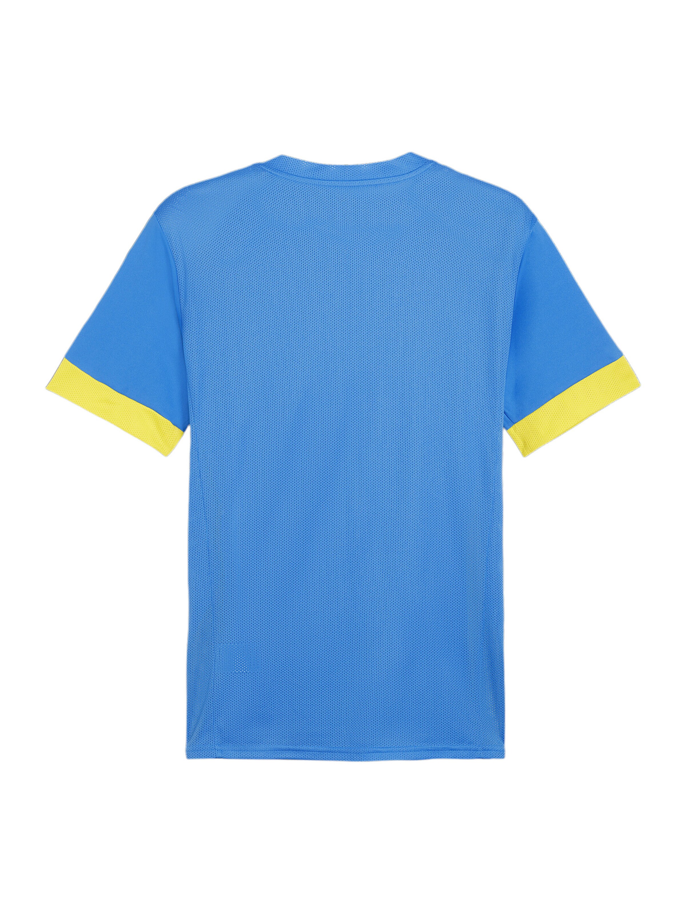 PUMA Trikot 'TeamGoal Matchday' in Blau
