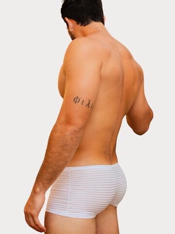 TAUWELL Boxer shorts in White