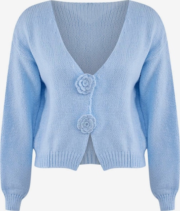 mėlyna Trendyol Kardiganas: priekis