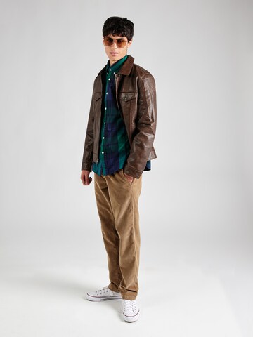 TOMMY HILFIGER Regular fit Button Up Shirt in Green
