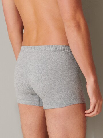 SCHIESSER Boxershorts ' 95/5 Organic Cotton ' in Gemengde kleuren
