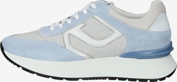 Nero Giardini Sneakers laag in Blauw