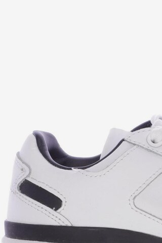 ADIDAS ORIGINALS Sneakers & Trainers in 36 in White