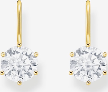 Thomas Sabo Ohrringe in Gold: Vorderseite