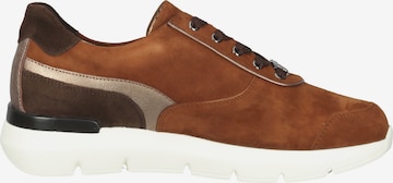 HASSIA Sneaker in Braun